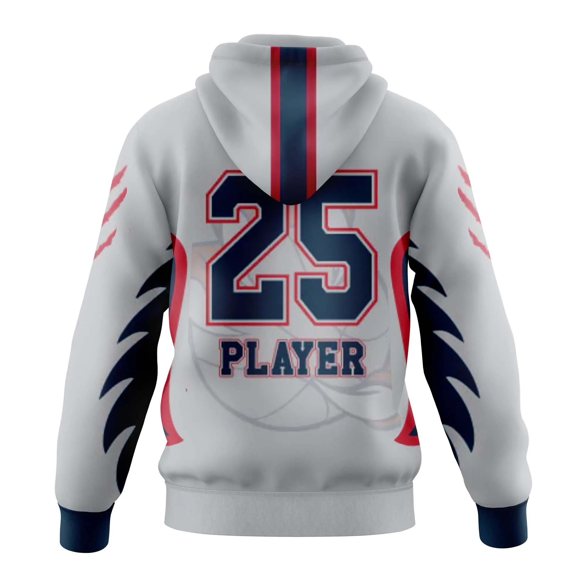 DAVINCI BALLHAWKS BASKETBALL Sublimated Hoodie